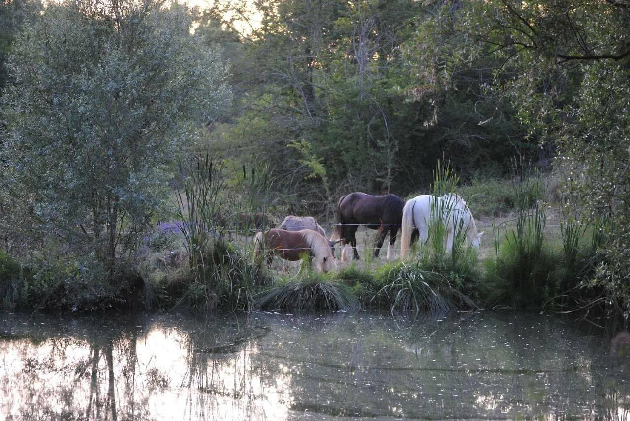 Séjour à la campagne Maison d'hôtes la Roulotte du Cos à Lamothe-Capdeville
