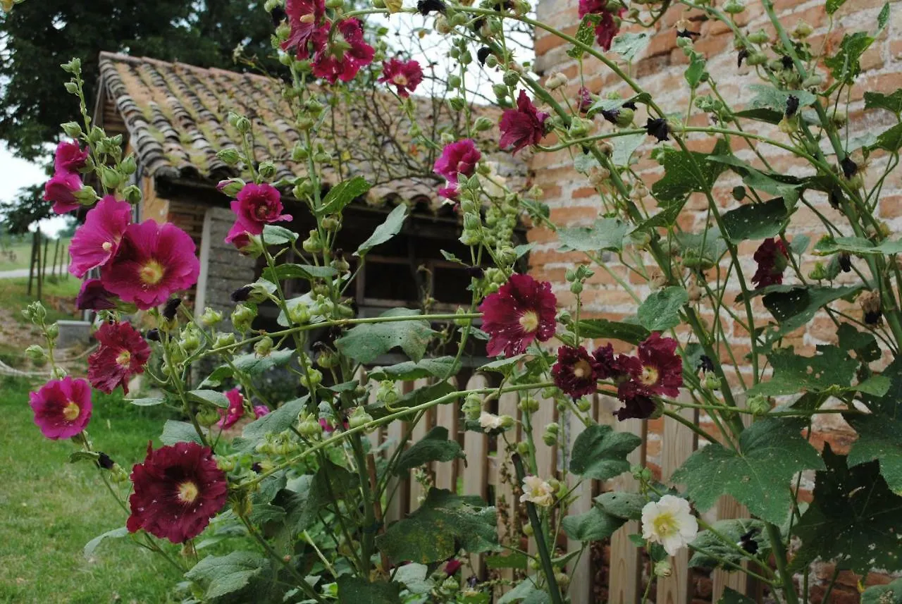 Maison d'hôtes la Roulotte du Cos à Lamothe-Capdeville France